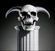 Sr skull