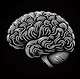 Cerebro
