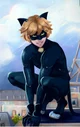 Cat Noir Villano
