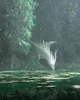 Nature dragon