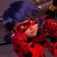 Ladybug 