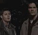 THE WINCHESTERS