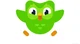 Duolingo