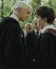 Draco x Harry x you 