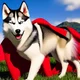 Ace The SuperHusky