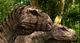 Tarascosaurus Pair