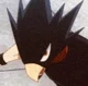 Fumikage Tokoyami
