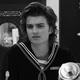 STEVE HARRINGTON