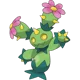 Maractus