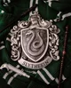 Slytherin boys 
