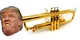 Donald trumpet