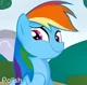 Rainbow Dash