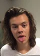 harry styles 