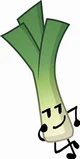 Leek