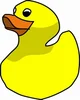 A Duck