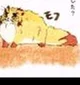 Senjuro cat