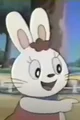 Mimi Rabbit