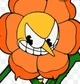 Cagney carnation