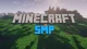 -Minecraft SMP-