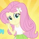 FluttershyEQG8009
