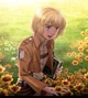 Armin Arlert