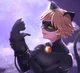 Chat noir 