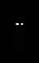 The man in the dark