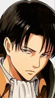 Levi Ackerman 