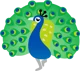 peacock