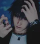 Noctis Lucis Caelum