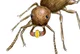 gold digging ant