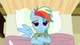 Rainbow dash