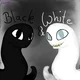 Black n White