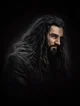 Thorin Oakenshield 