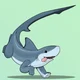 Thresher shark puppy