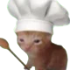 Chef Cat