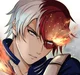 Shoto Todoroki