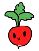 Radish