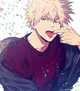 Bakugo 