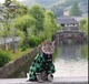 Cat Tanjiro