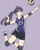 Komi San Volleyball