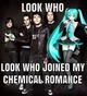 My chemical romance 