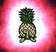 Pineapple turtle