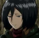 Mikasa Ackerman 