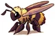 Giant Bee