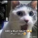 R U SILLY