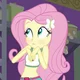 Fluttershy 