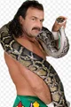 Jake  Roberts 
