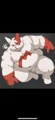 Chubby Zangoose