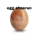EGG SHEERAN